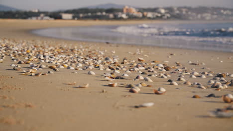 Wellen-Rollen-über-Die-Muscheln-Am-Strand-In-Portugal