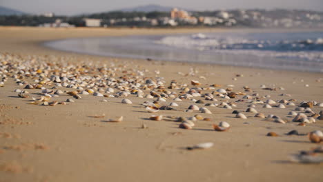 wellen rollen über die muscheln am strand in portugal