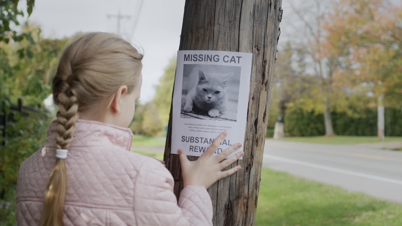 Una ragazza attacca un annuncio su un gatto scomparso a un palo.