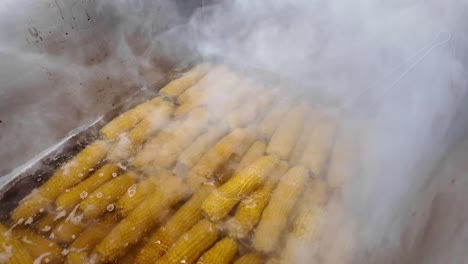 boiling corn on the cob with steam