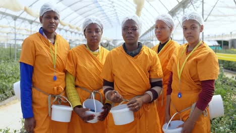 female workers standing with blueberry basket in blueberry farm 4k