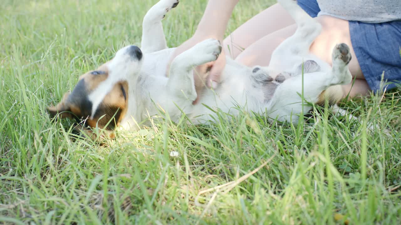 잔디에 개와 함께 있는 여자