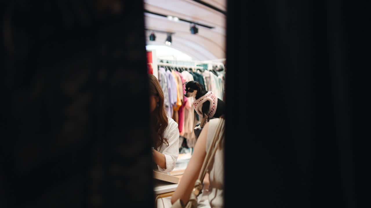 服屋で犬と一緒に買い物をする女性