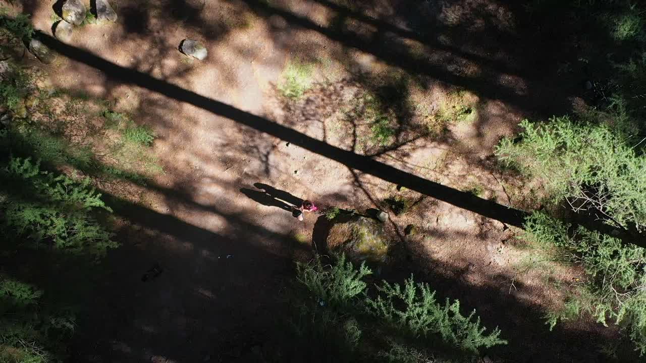 인도 히마찰프라데시 마날리 근처 햇살 가득한 숲에서 춤추는 로맨틱 커플