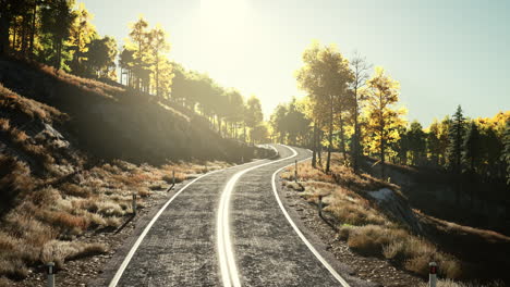 Vista-Aérea-De-La-Carretera-Con-Curvas-En-El-Hermoso-Bosque-De-Otoño