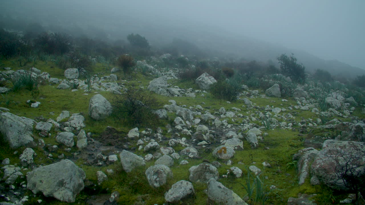 niebla brumosa espeluznante paisaje espeluznante de rocas y vegetación de hierba verde baja, cerdeña invierno, acercar