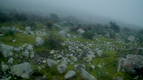 Misty-fog-spooky-eerie-landscape-of-rocks-and-low-green-grass-vegetation,-Sardinia-winter,-zoom-in