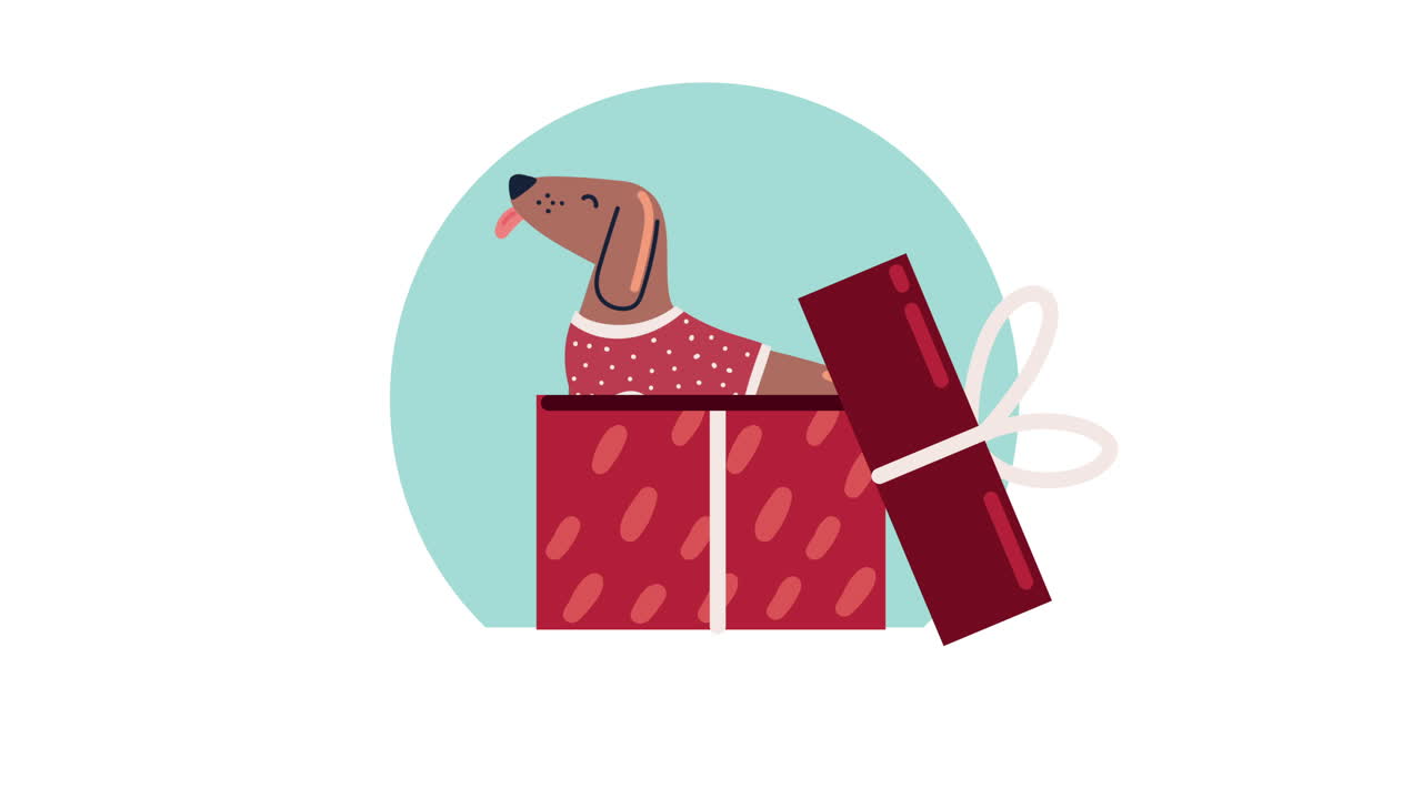 빨간 선물 상자 선물 애니메이션