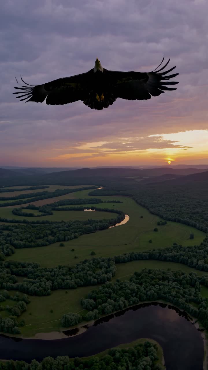 Aerial video perspective of an eagle soaring over a winding river at sunset, capturing the serene