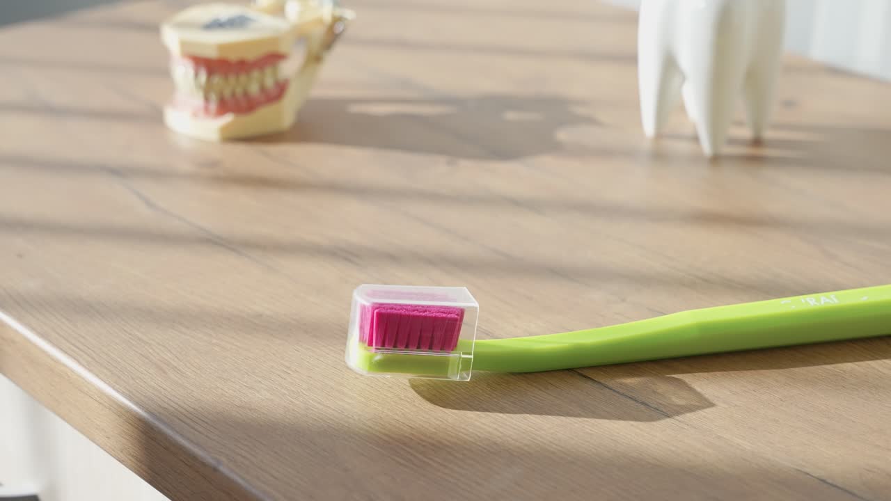 A vibrant green toothbrush with pink bristles rests on a sunlit wooden table, accompanied by a dental model and a molar tooth replica, showcasing dental care essentials
