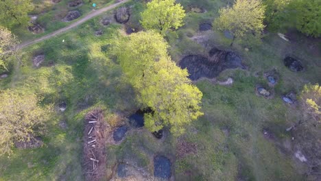drone shot over a forest and ww1 shell holes filled with water