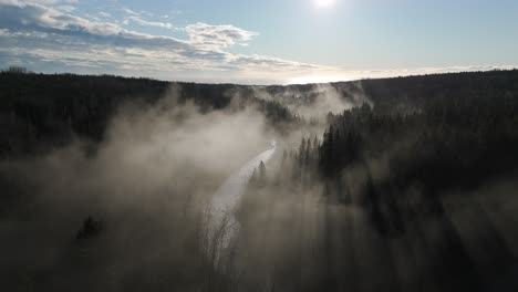 Nebliger-Morgen-über-Einigen-Bäumen-Und-Einem-Fluss,-Aufgenommen-Von-Einer-Drohne-In-4k-60fps