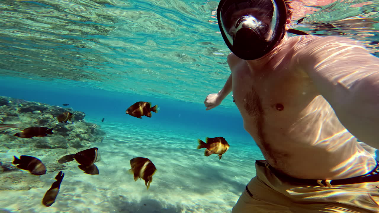 Snorkling i Det Røde Hav med fisk i krystalklart vand