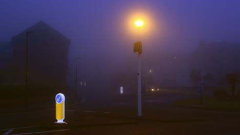 man is walking with a dog on an early foggy morning. he crosses road. dark blue light. street lights are still on and give off yellow glow. footage in hd