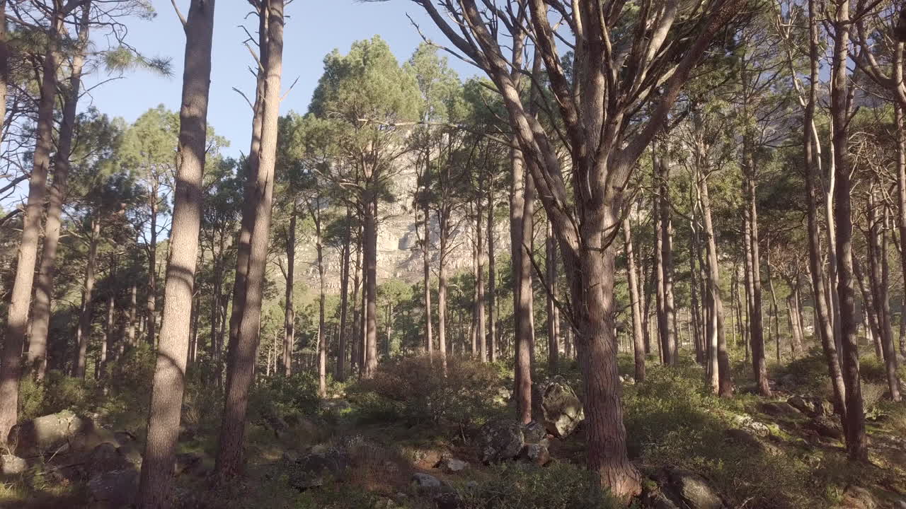 Vaga spesso, meravigliati sempre