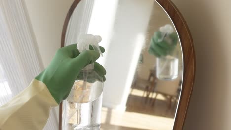 cleaning a mirror with spray bottle