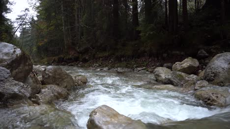 small mountain creek with clear water runs down through forest in alps