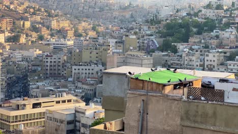 Amman-Stadt-Von-Oben-Mit-Blick-Auf-Die-Wunderschöne-Skyline-Der-Stadt-Tagsüber-4k