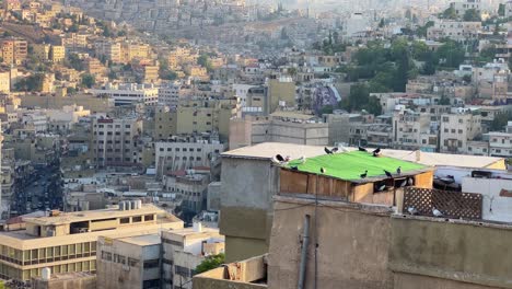 Ciudad-De-Amman-Desde-Arriba-Con-Vistas-Al-Hermoso-Horizonte-De-La-Ciudad-Durante-El-Día-4k