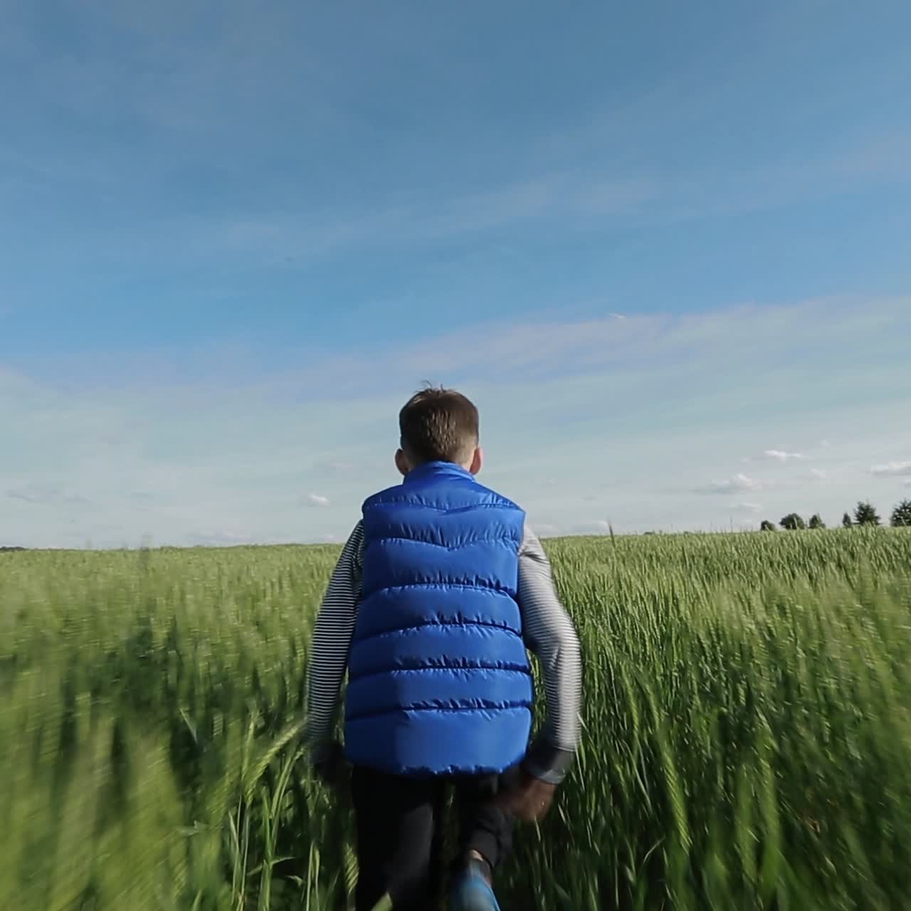 Boy Walking Through The Field