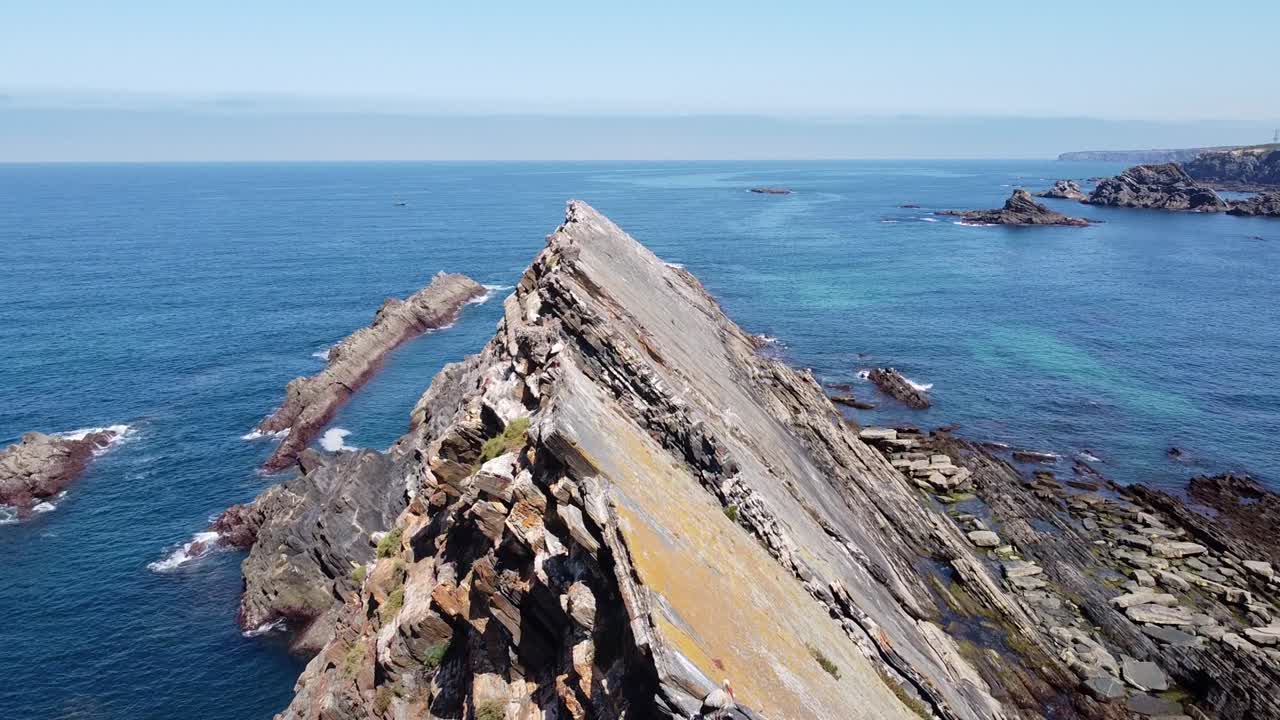 вид с беспилотника на изрезанную береговую линию в карвальяле, алентежу, западная португалия - молодые аисты сидят на гнезде