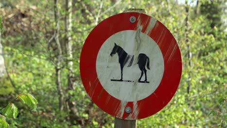 heavily soiled and scratched horse prohibition sign, in the background a green forest, by day without people