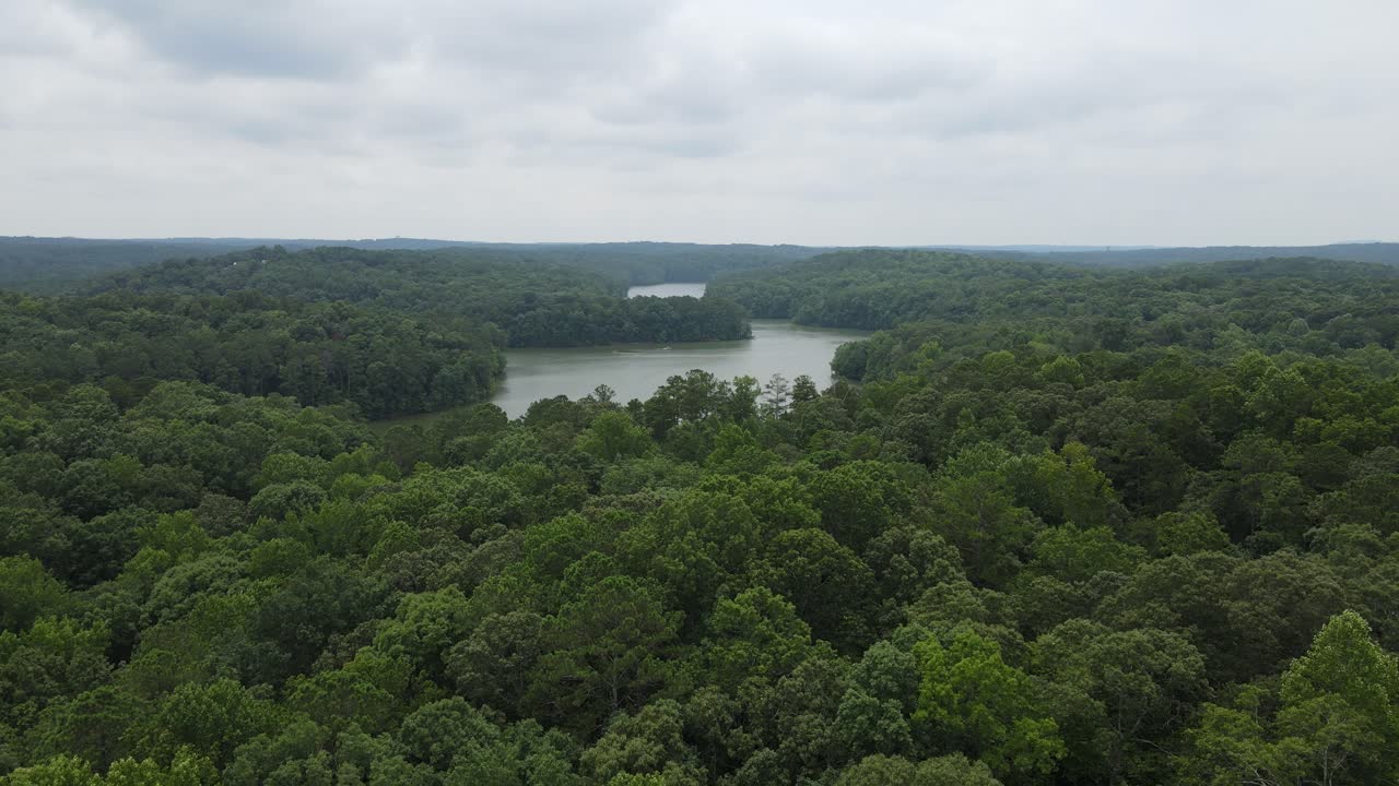 호수가 보이는 나무의 숲 위에 드론을 날아다니고 있습니다.