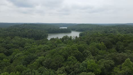 flying a drone over a forest of trees as a lake appears