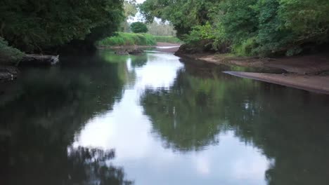 Río-Tarcoles-Poco-Profundo-Con-árboles-Que-Crecen-En-Sus-Orillas-Hábitat-De-Cocodrilos,-Tiro-Aéreo-Bajo-Sobrevuelo