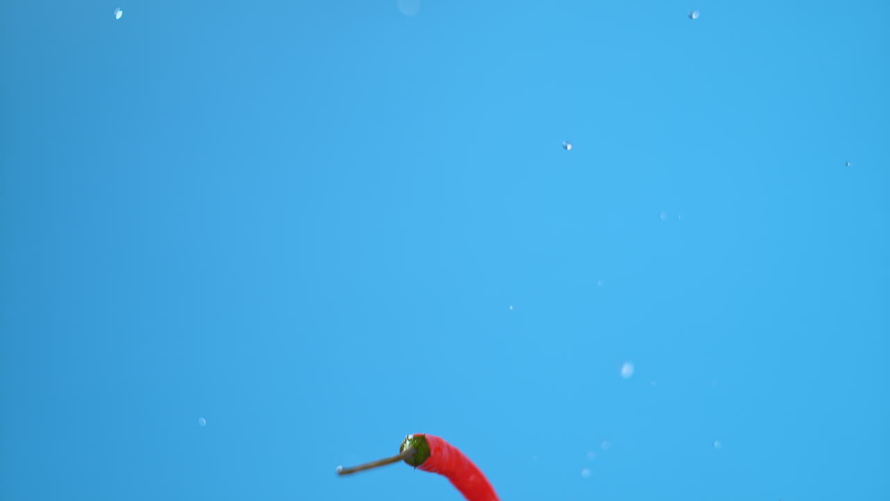Red Chili Pepper Falling with Water Droplets on Blue Background