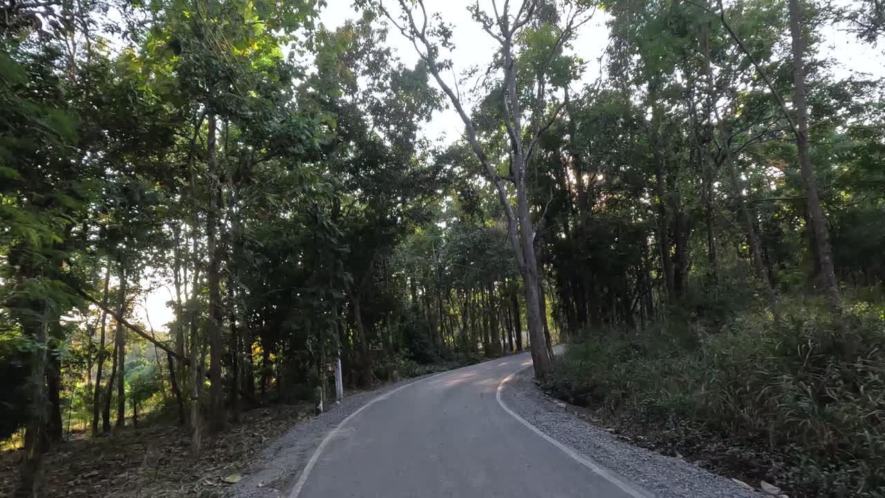 해가 지는 동안 휘어지는 숲길을 여행하는 것