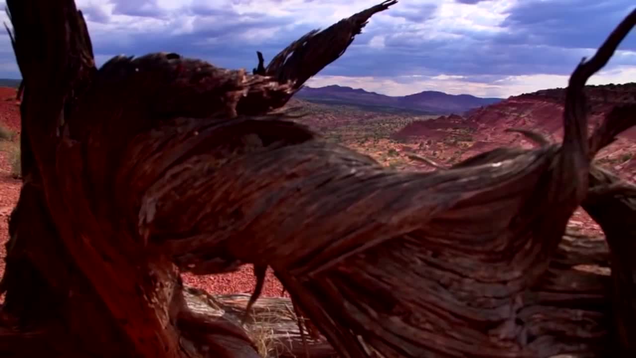폭풍이 애리조나 사막에 접근