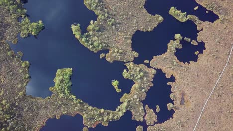 Beautiful-aerial-birdseye-view-of-bog-landscape-with