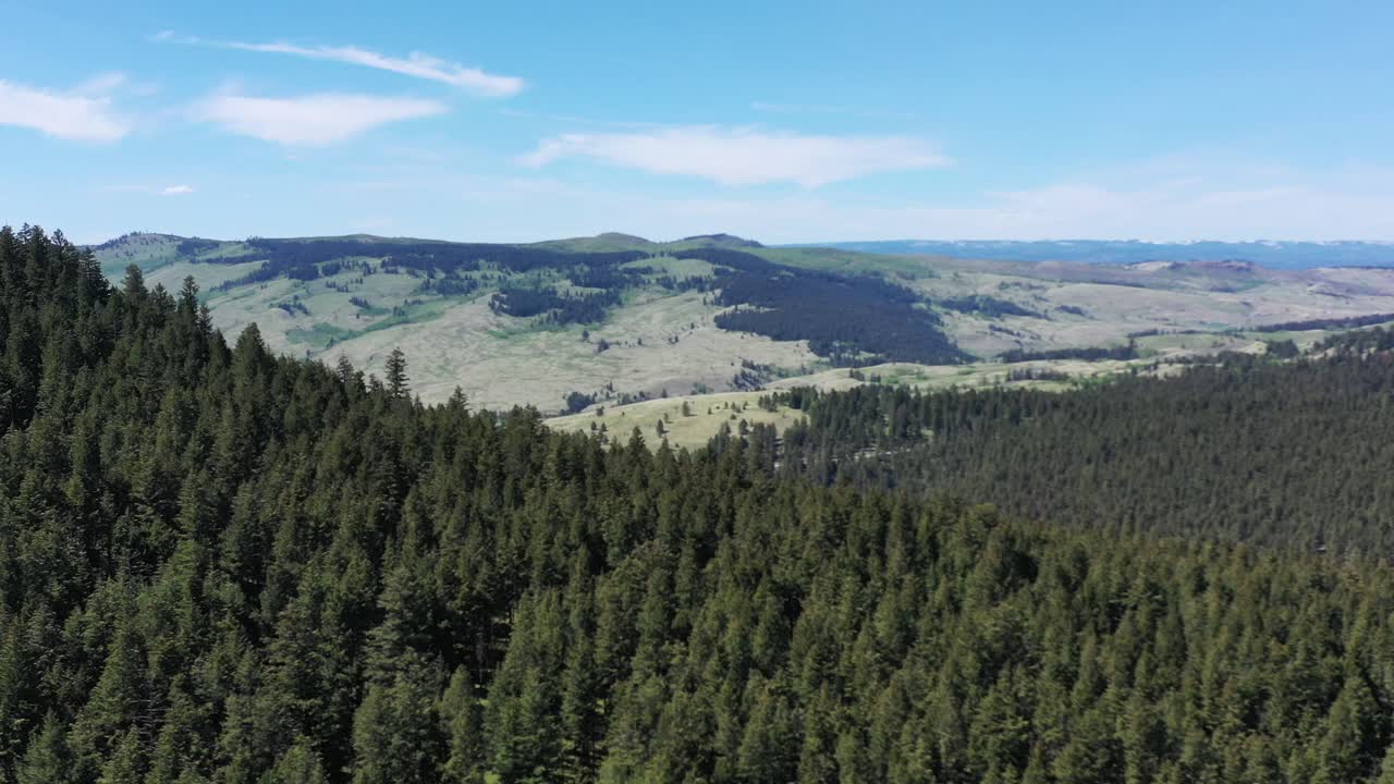 Immerse Yourself in Nature's Glory: Harper Mountain in Kamloops Shines on a Sunny Day, Surrounded by Towering Forested Mountains