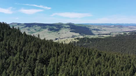 immerse yourself in nature's glory: harper mountain in kamloops shines on a sunny day, surrounded by towering forested mountains