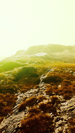 paisaje montañoso con hierba y rocas