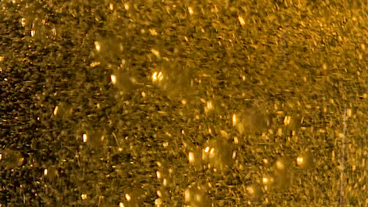 맥주  ⁇ 기, 황금 거품의 거시적인 텍스처 배경