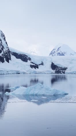 antarctic icebergs and glaciers