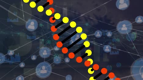 Animation-of-rotating-dna-helix-over-icons-connected-with-lines-over-infographic-interface