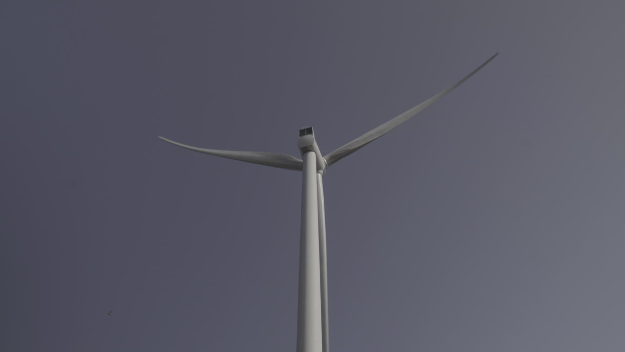 우는 소리와 뒤에서 풍력 터빈, 푸른 하늘 배경으로 머리 회전