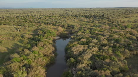 el palmar, arroyo de las cotorras, aerial pull back, golden hour over the palm trees and the river, entre ríos, argentina, national park