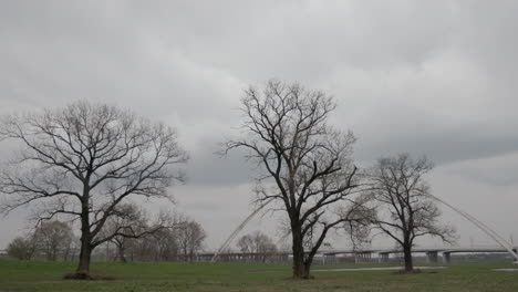 freeway bridges and trees in dallas, texas