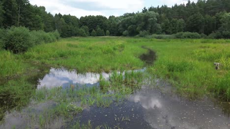 „Die-Drohne-über-Dem-Im-Morgengrauen-Erleuchteten-See-Europas-Fängt-Eine-Ruhige-Lagune,-Einen-üppigen-Wald-Und-Eine-Elegante-Brücke-Ein