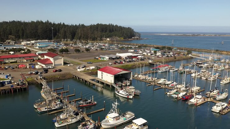 Volo con drone sopra edifici e barche a Charleston Harbor, Oregon.