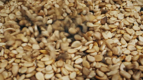 white dried sesame seeds falling down on black desk close-up macro. super food. sprinkles for food.healthy concept. .high quality 4k footage