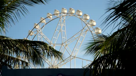 rueda gigante en un parque de atracciones