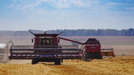 combine harvester on field. working harvesting combine in the field of wheat