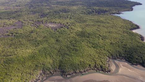 Lavafelder-Und-üppiger-Einheimischer-Wald-Auf-Dem-Vulkan