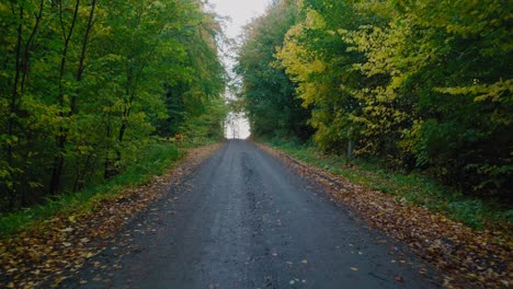 Pov-Zu-Fuß-Auf-Einer-Schmalen-Straße-Im-Gyllebo-Wald-Im-Herbst,-Österlen,-Schweden---Weitschuss,-Der-Nach-Vorne-Fährt