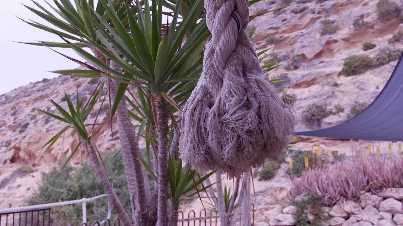 A frayed rope hanging from a tree in a rugged outdoor setting, surrounded by diverse vegetation and rocky terrain, conveying a sense of isolation and nature's resilience
